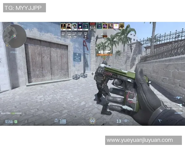 CS_GO专题：聚焦FPX的配合_1